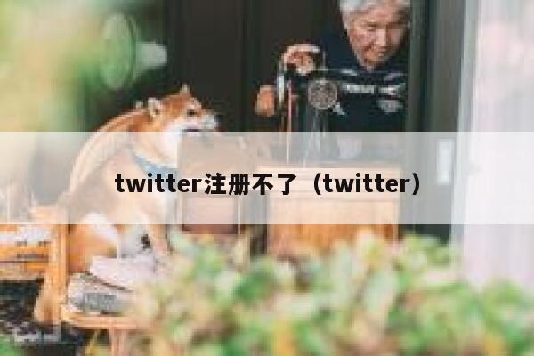 twitter注册不了（twitter） 第1张