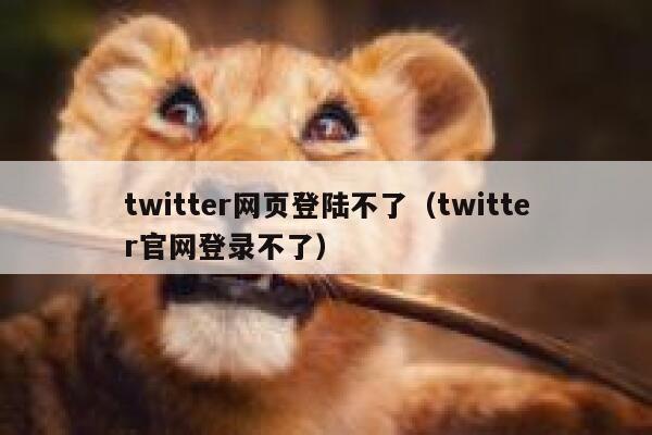 twitter网页登陆不了（twitter官网登录不了） 第1张