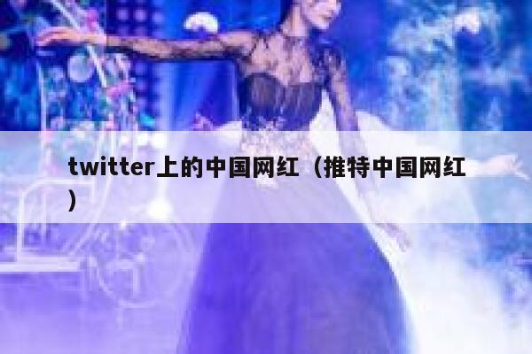 twitter上的中国网红（推特中国网红） 第1张