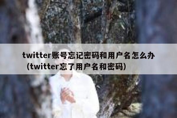 twitter账号忘记密码和用户名怎么办（twitter忘了用户名和密码） 第1张