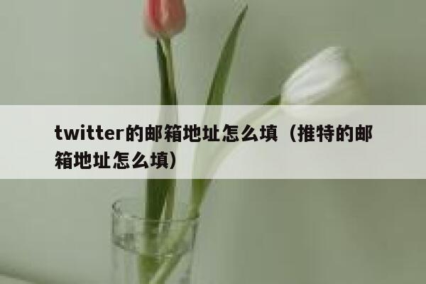 twitter的邮箱地址怎么填（推特的邮箱地址怎么填） 第1张