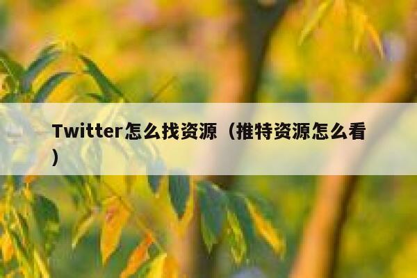 Twitter怎么找资源（推特资源怎么看） 第1张