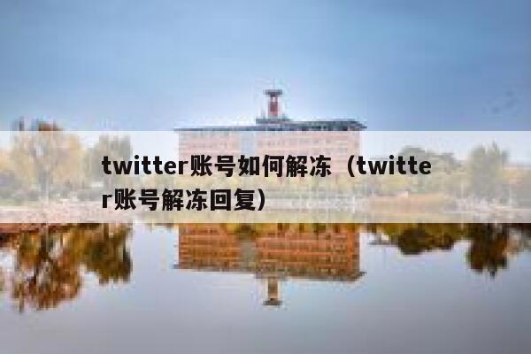 twitter账号如何解冻（twitter账号解冻回复） 第1张