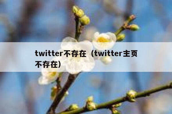 twitter不存在（twitter主页不存在） 第1张