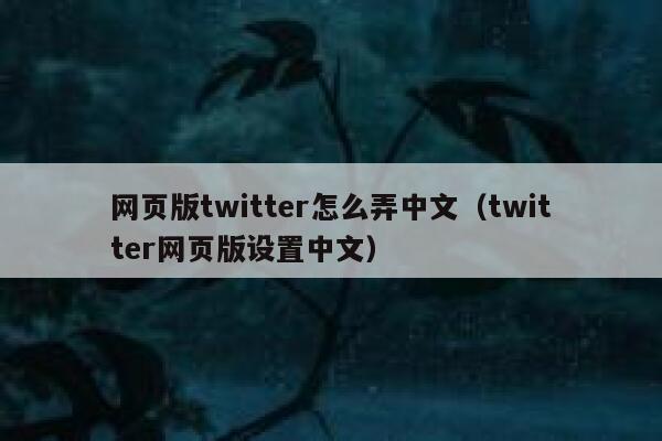 网页版twitter怎么弄中文（twitter网页版设置中文） 第1张