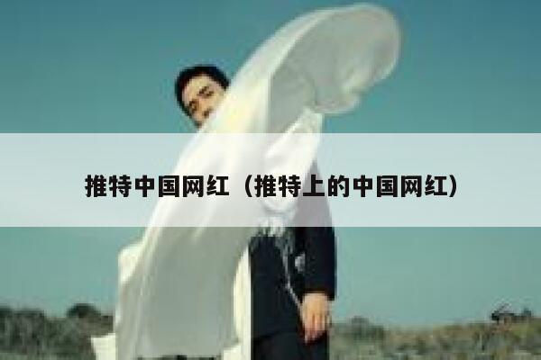 推特中国网红（推特上的中国网红） 第1张