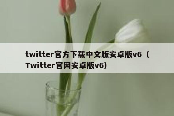 twitter官方下载中文版安卓版v6（Twitter官网安卓版v6） 第1张