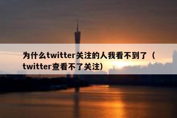 为什么twitter关注的人我看不到了（twitter查看不了关注） 第1张