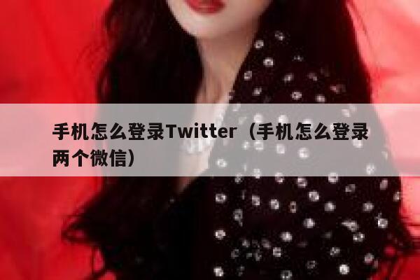 手机怎么登录Twitter（手机怎么登录两个微信） 第1张