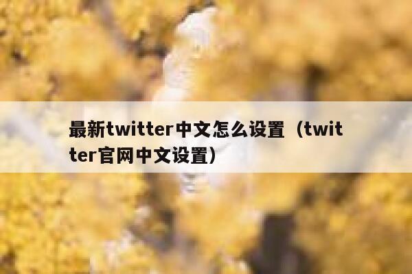最新twitter中文怎么设置（twitter官网中文设置） 第1张
