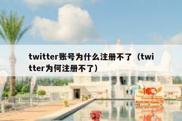 twitter账号为什么注册不了（twitter为何注册不了） 第1张
