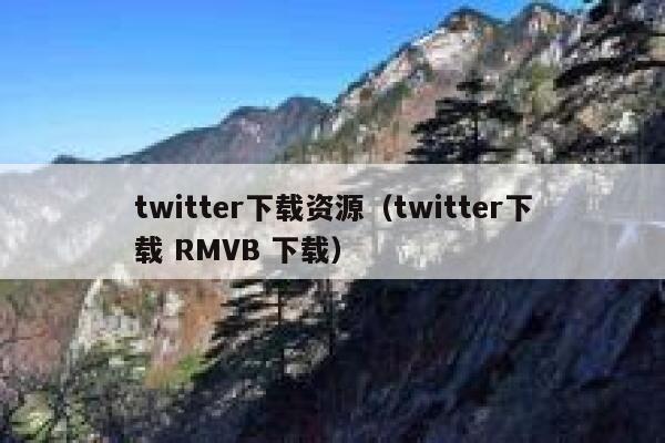 twitter下载资源（twitter下载 RMVB 下载） 第1张