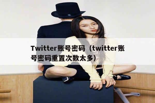 Twitter账号密码（twitter账号密码重置次数太多） 第1张