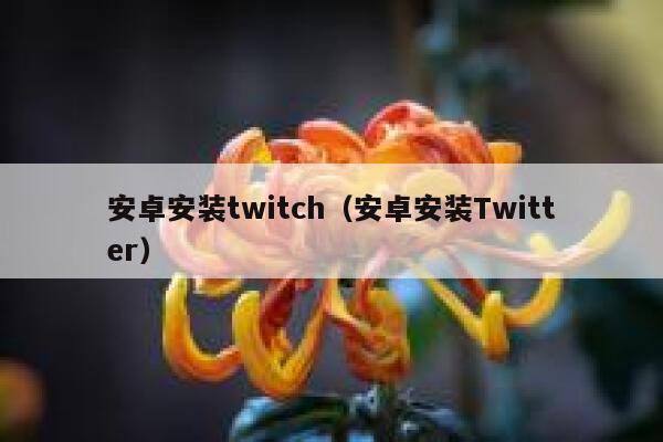 安卓安装twitch（安卓安装Twitter） 第1张