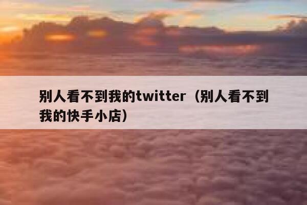 别人看不到我的twitter（别人看不到我的快手小店） 第1张