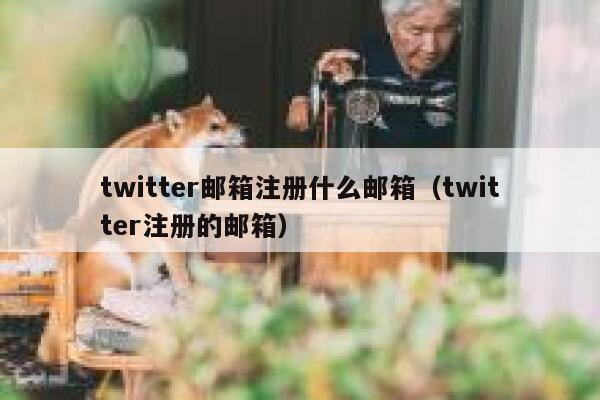 twitter邮箱注册什么邮箱（twitter注册的邮箱） 第1张