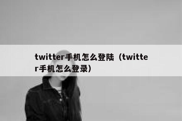 twitter手机怎么登陆（twitter手机怎么登录） 第1张
