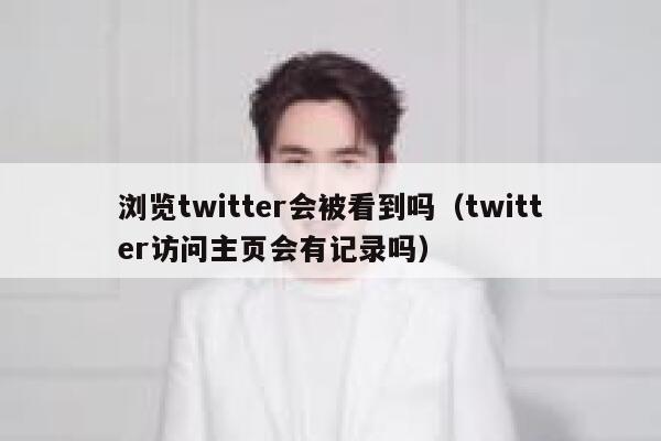 浏览twitter会被看到吗（twitter访问主页会有记录吗） 第1张