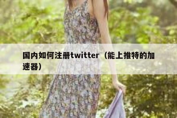 国内如何注册twitter（能上推特的加速器） 第1张