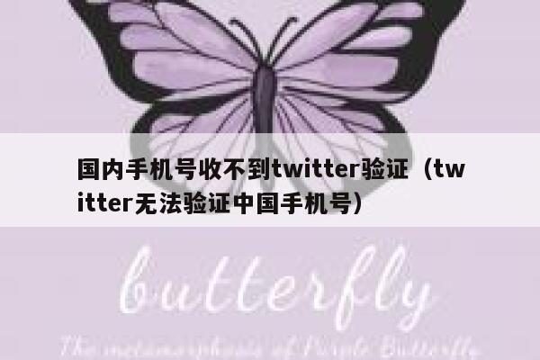 国内手机号收不到twitter验证（twitter无法验证中国手机号） 第1张