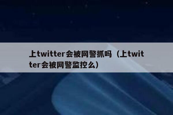 上twitter会被网警抓吗（上twitter会被网警监控么） 第1张