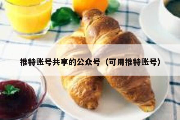 推特账号共享的公众号（可用推特账号） 第1张