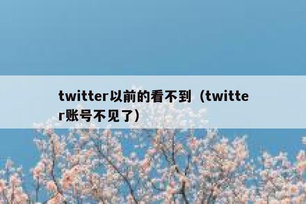 twitter以前的看不到（twitter账号不见了） 第1张