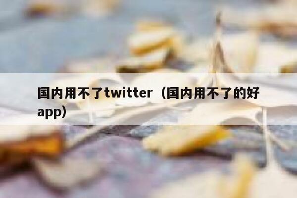 国内用不了twitter（国内用不了的好app） 第1张
