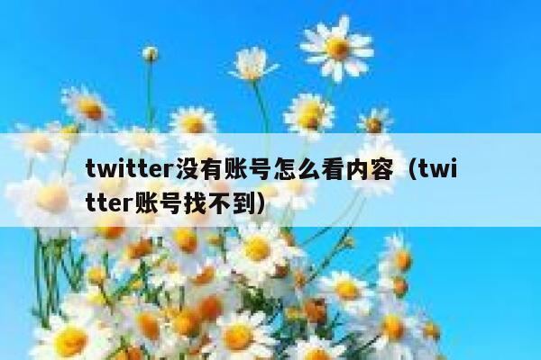 twitter没有账号怎么看内容（twitter账号找不到） 第1张
