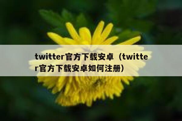 twitter官方下载安卓（twitter官方下载安卓如何注册） 第1张
