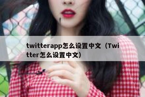 twitterapp怎么设置中文（Twitter怎么设置中文） 第1张