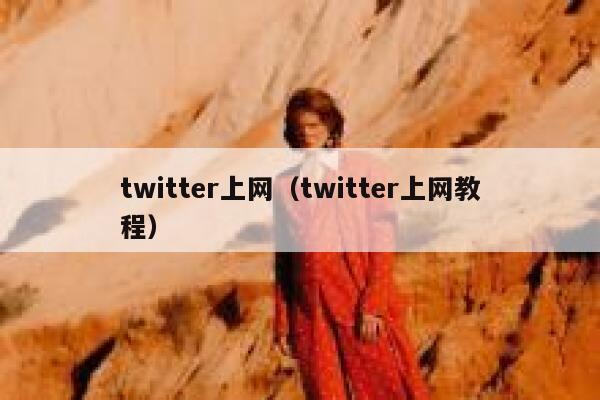 twitter上网（twitter上网教程） 第1张