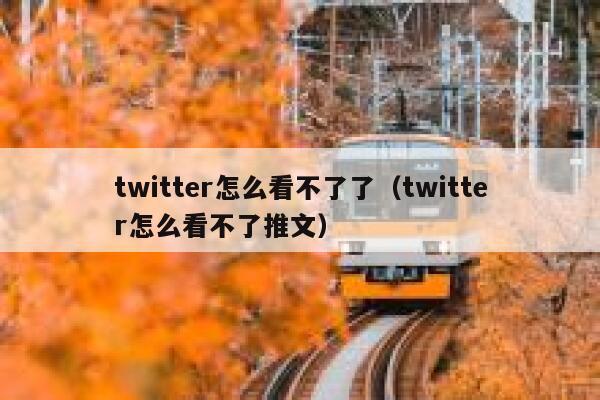 twitter怎么看不了了（twitter怎么看不了推文） 第1张