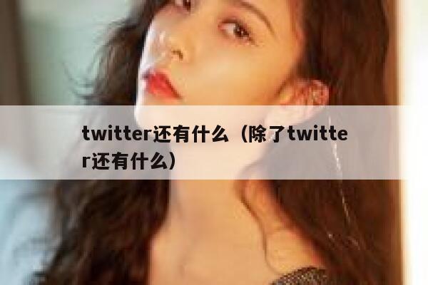 twitter还有什么（除了twitter还有什么） 第1张