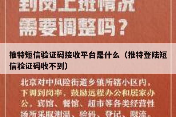 推特短信验证码接收平台是什么（推特登陆短信验证码收不到） 第1张