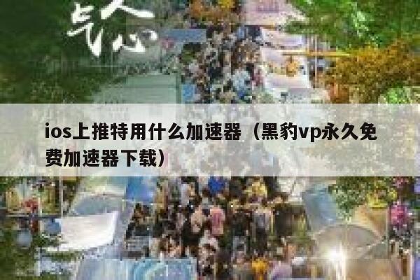 ios上推特用什么加速器（黑豹vp永久免费加速器下载） 第1张