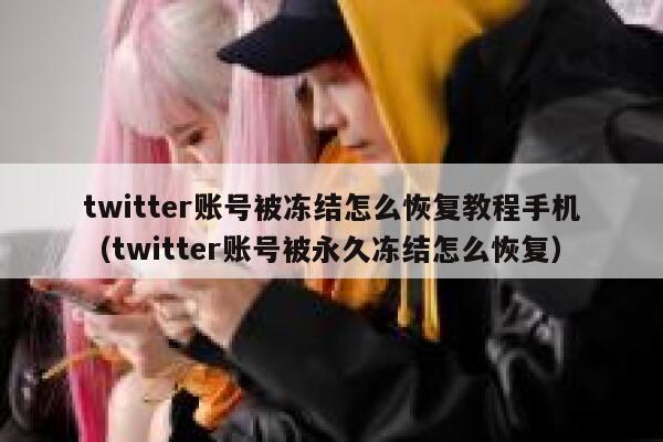 twitter账号被冻结怎么恢复教程手机（twitter账号被永久冻结怎么恢复） 第1张