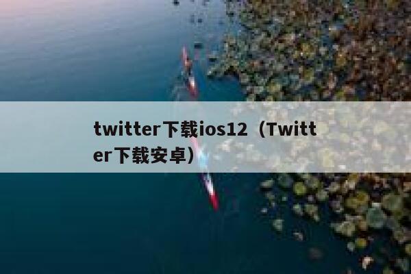 twitter下载ios12（Twitter下载安卓） 第1张