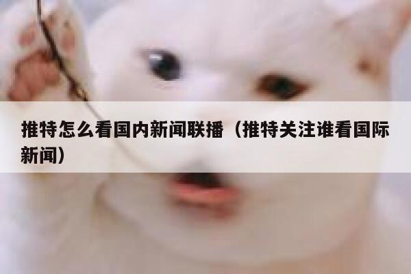 推特怎么看国内新闻联播（推特关注谁看国际新闻） 第1张