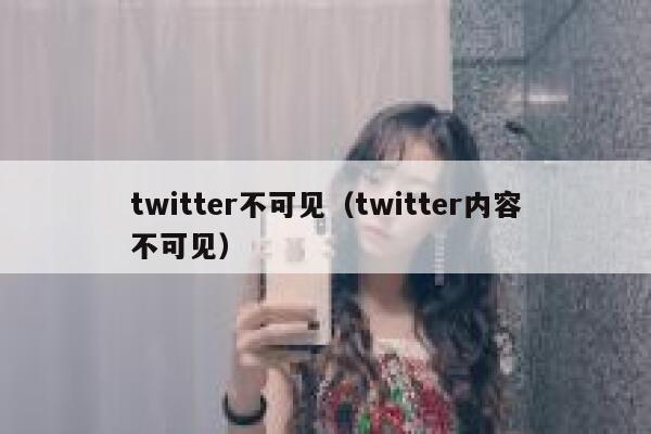twitter不可见（twitter内容不可见） 第1张