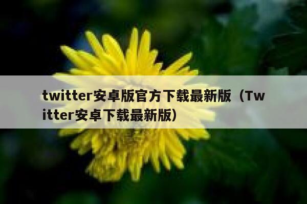 twitter安卓版官方下载最新版（Twitter安卓下载最新版） 第1张