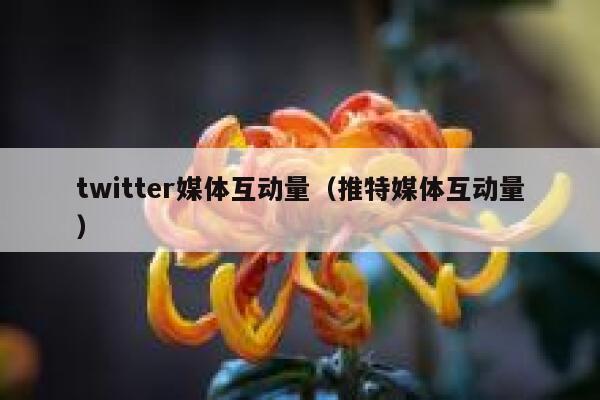 twitter媒体互动量（推特媒体互动量） 第1张
