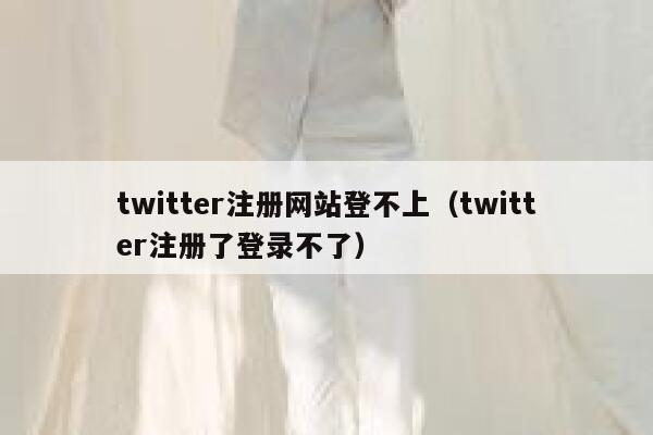 twitter注册网站登不上（twitter注册了登录不了） 第1张