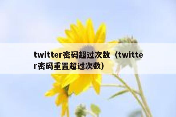 twitter密码超过次数（twitter密码重置超过次数） 第1张