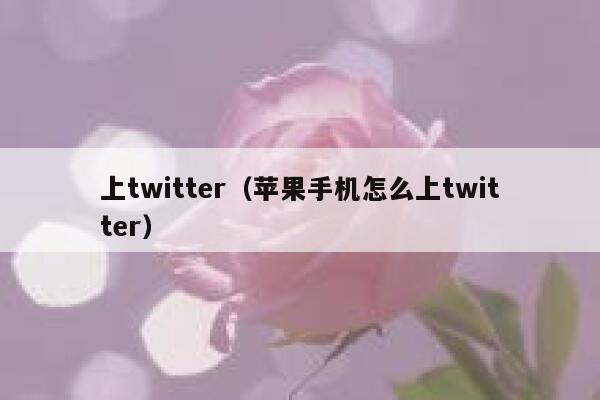 上twitter（苹果手机怎么上twitter） 第1张
