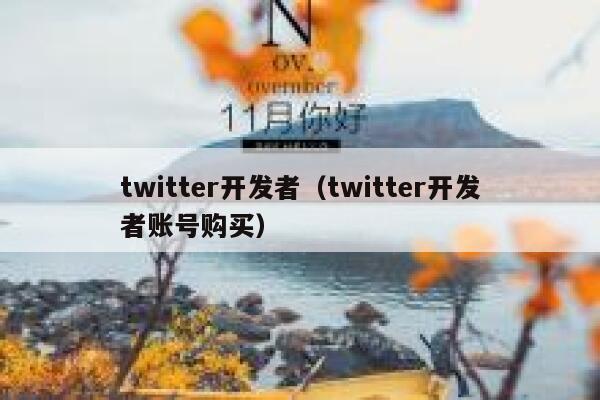 twitter开发者（twitter开发者账号购买） 第1张