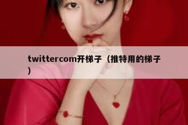 twittercom开梯子（推特用的梯子） 第1张