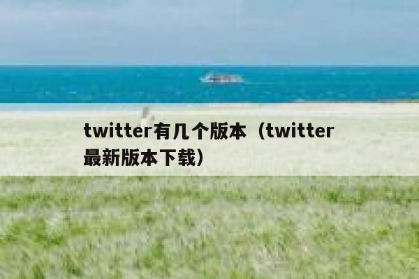 twitter有几个版本（twitter最新版本下载） 第1张