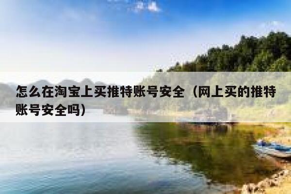 怎么在淘宝上买推特账号安全（网上买的推特账号安全吗） 第1张