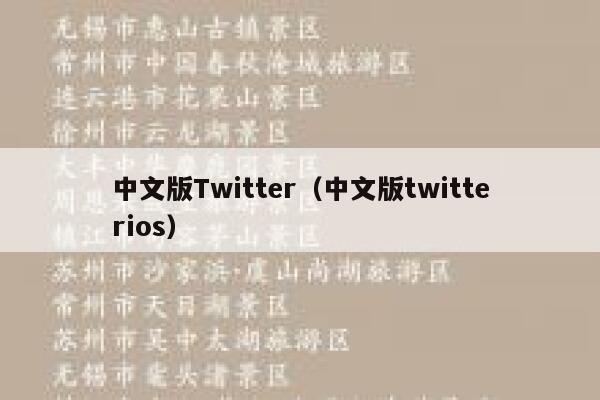 中文版Twitter（中文版twitterios） 第1张
